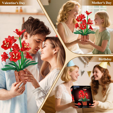 Amaryllis-Blumen-Bonsai-Bauset