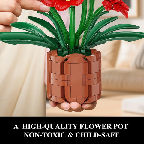 Amaryllis-Blumen-Bonsai-Bauset