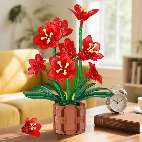 Amaryllis-Blumen-Bonsai-Bauset