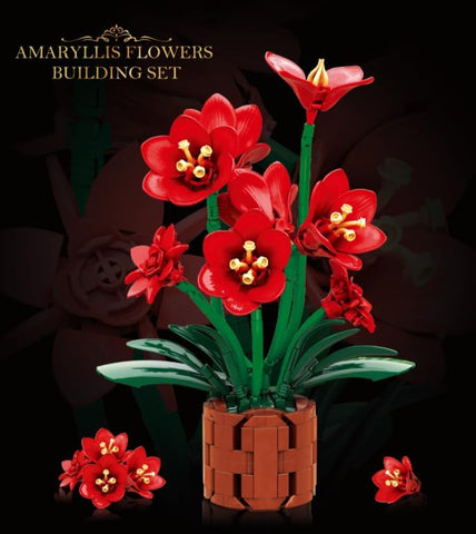 Amaryllis-Blumen-Bonsai-Bauset