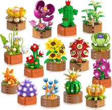 15er-Pack Blumen Sukkulenten Mini-Bauset