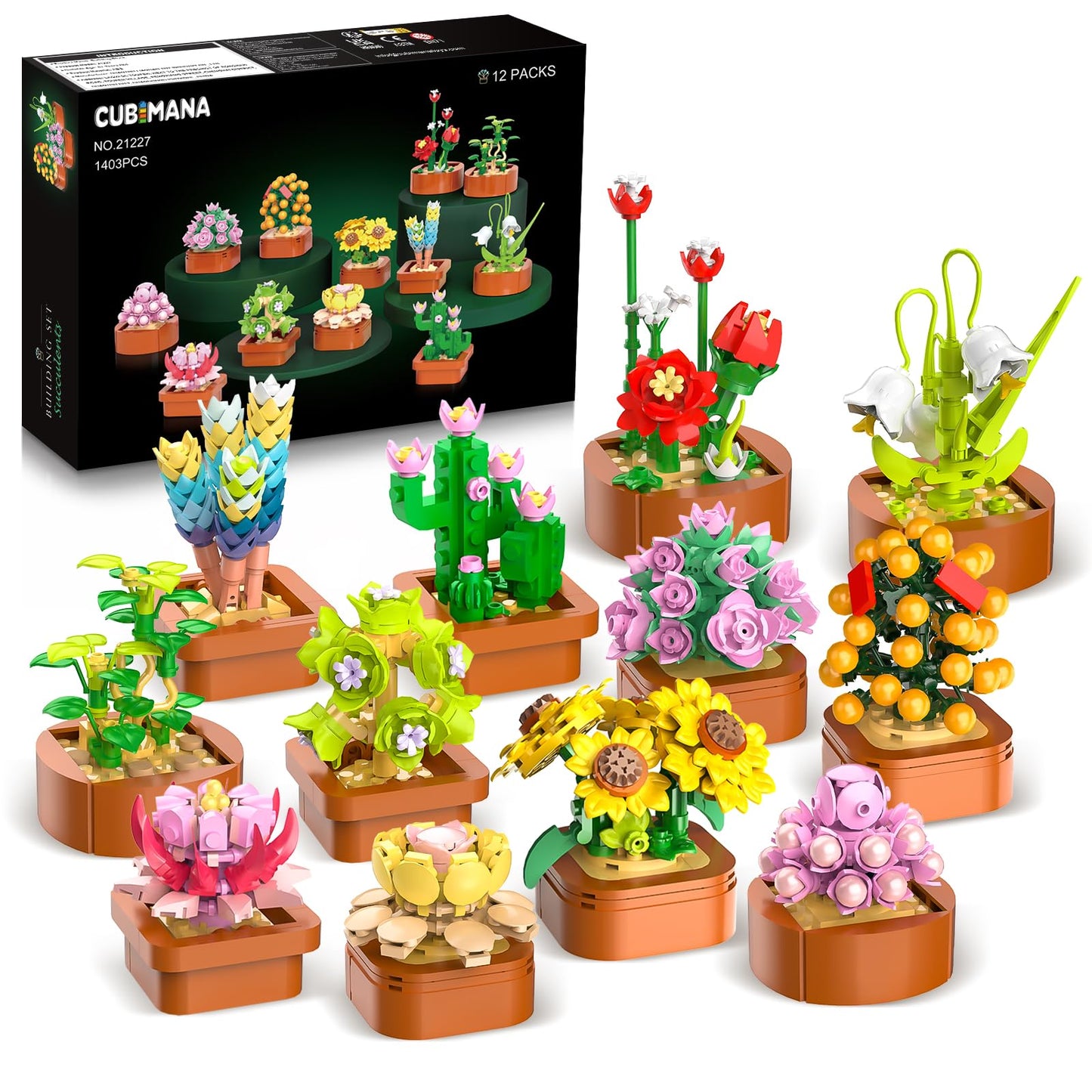 CUBIMANA 12 Blumen Sukkulenten 3.6MM Mini Bausätze