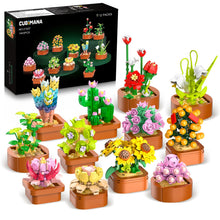 CUBIMANA 12 Blumen Sukkulenten 3.6MM Mini Bausätze