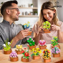 CUBIMANA 12 Blumen Sukkulenten 3.6MM Mini Bausätze