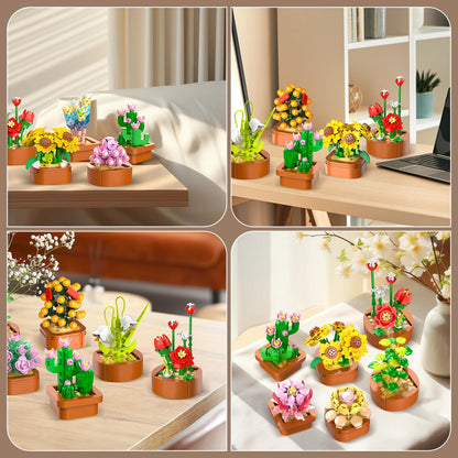 CUBIMANA 12 Blumen Sukkulenten 3.6MM Mini Bausätze