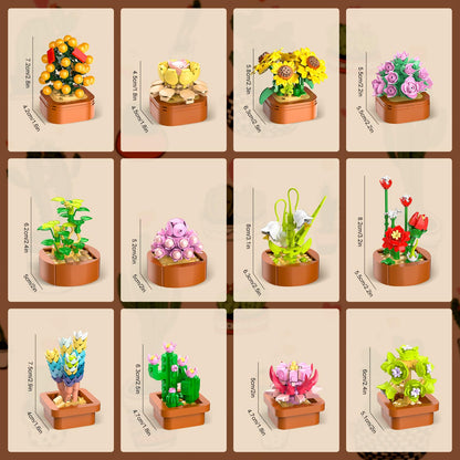 CUBIMANA 12 Blumen Sukkulenten 3.6MM Mini Bausätze